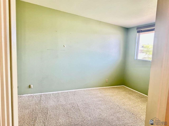 empty room featuring carpet