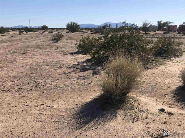 Columbia, Tacna AZ, 85352 land for sale