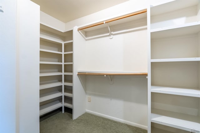 walk in closet featuring carpet floors