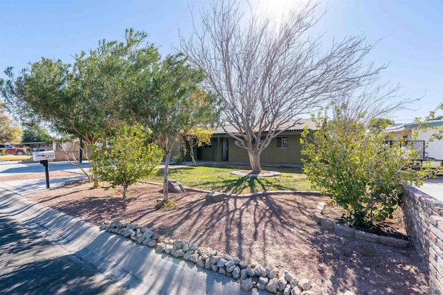 obstructed view of property featuring a front yard