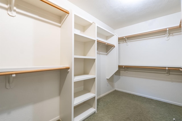 spacious closet with dark colored carpet