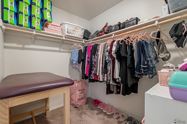 spacious closet featuring carpet flooring