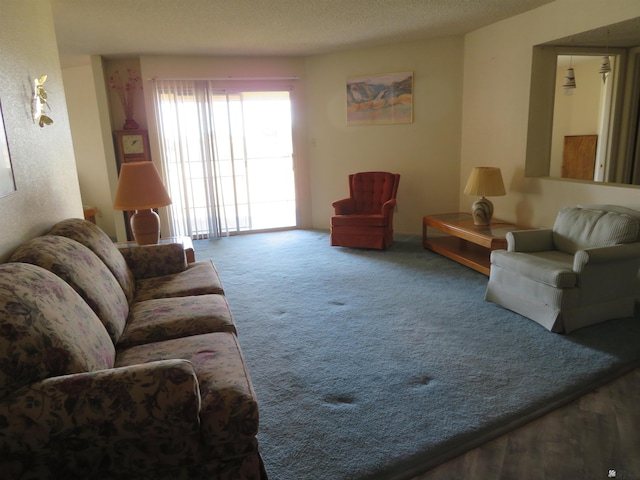 carpeted living area with a textured ceiling