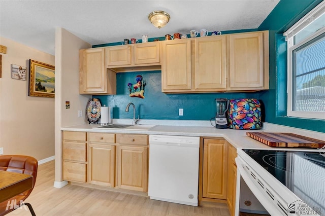 kitchen with light hardwood / wood-style floors, white appliances, light brown cabinetry, and sink