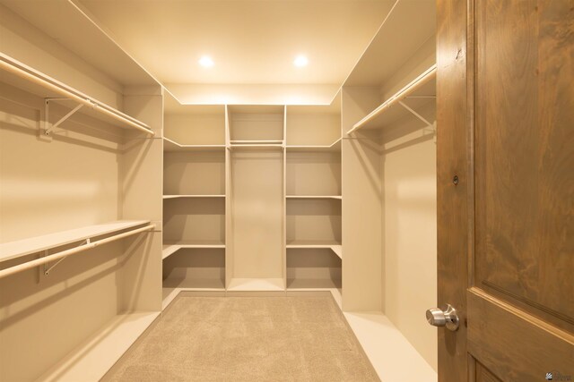 spacious closet featuring light colored carpet