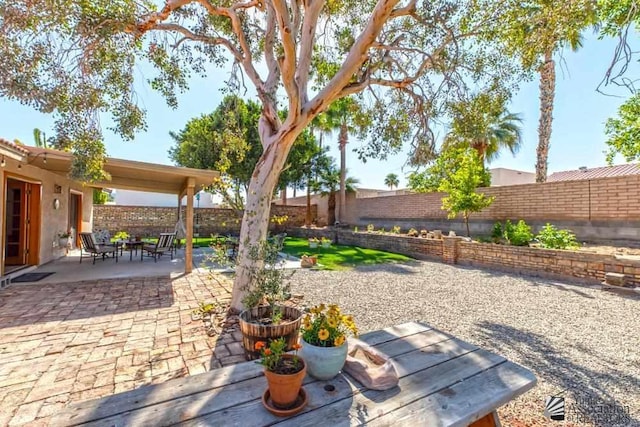 view of yard with a patio area