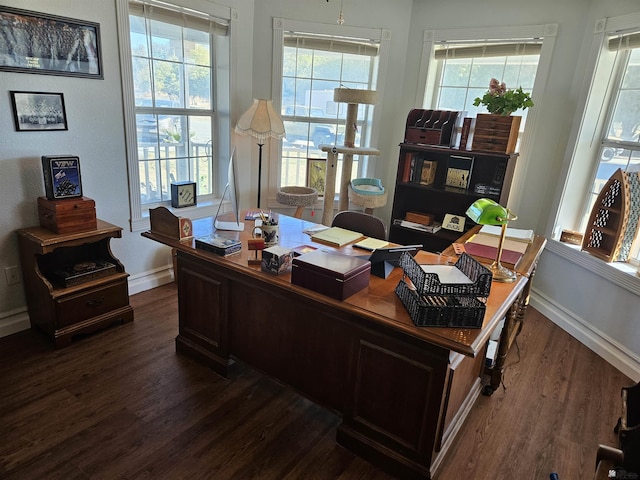 office area featuring dark wood-type flooring and a healthy amount of sunlight