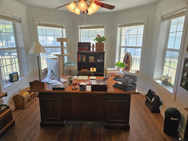 office area featuring a wealth of natural light, dark hardwood / wood-style flooring, and ceiling fan