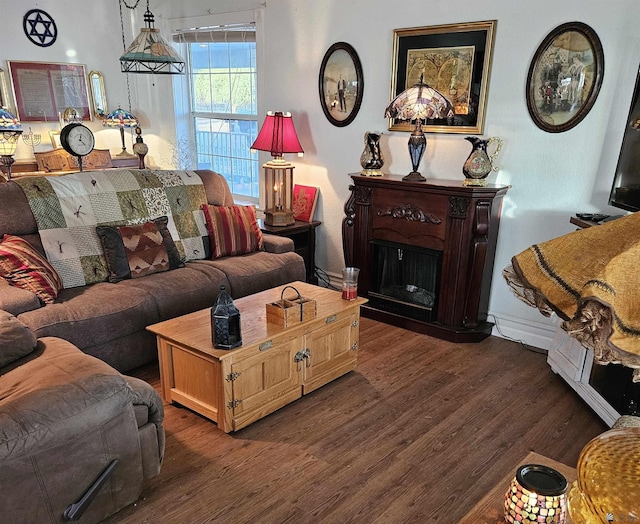 living room featuring dark hardwood / wood-style floors