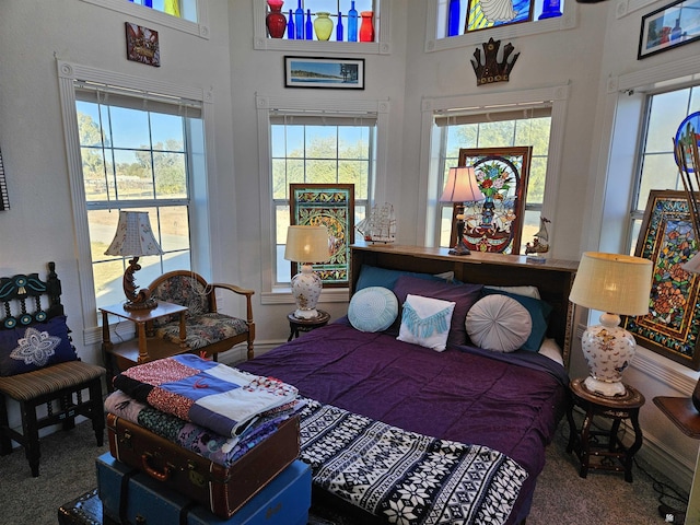 bedroom with carpet flooring