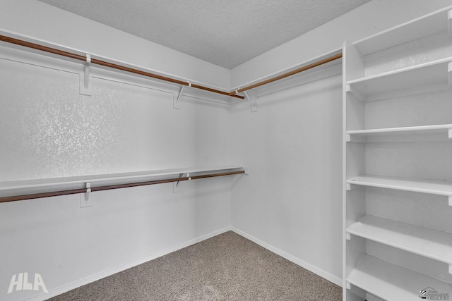 spacious closet with carpet floors