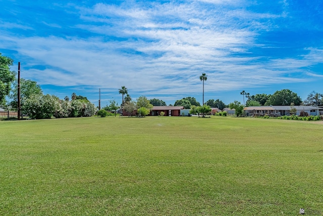 view of yard