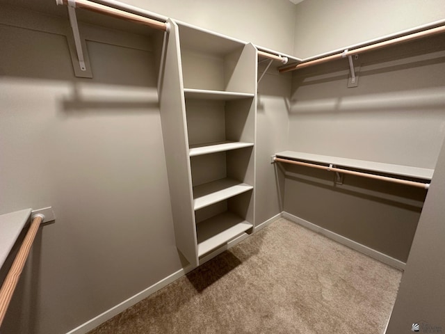 walk in closet with light carpet