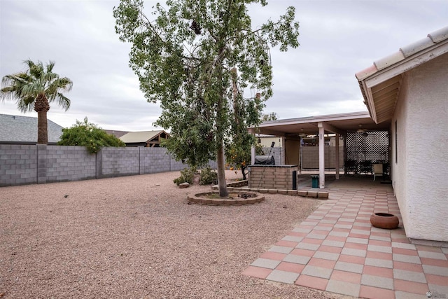 view of yard with a patio area