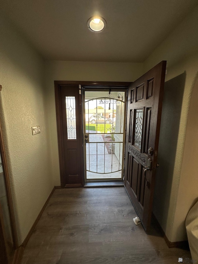 foyer with dark wood-type flooring