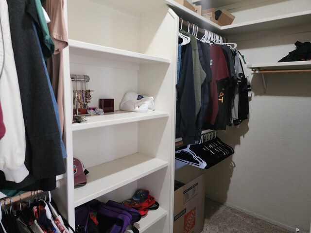 spacious closet featuring carpet floors