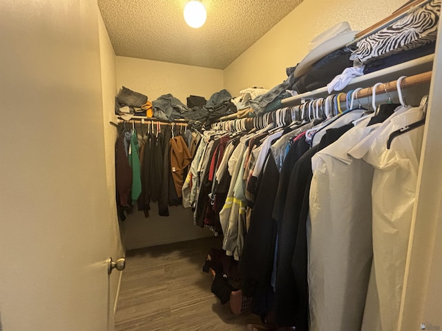 spacious closet with hardwood / wood-style flooring