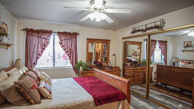 bedroom with wood-type flooring, a closet, and ceiling fan