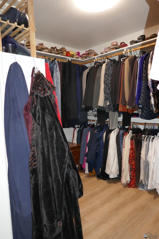 walk in closet featuring light hardwood / wood-style floors