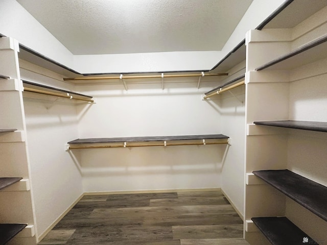 spacious closet with wood finished floors