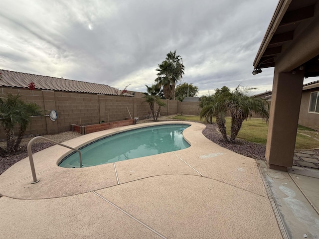 view of pool featuring a patio