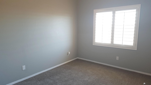 empty room featuring carpet floors