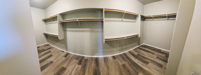 spacious closet with wood-type flooring