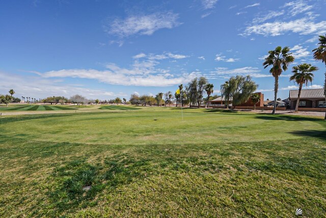 view of home's community with a yard