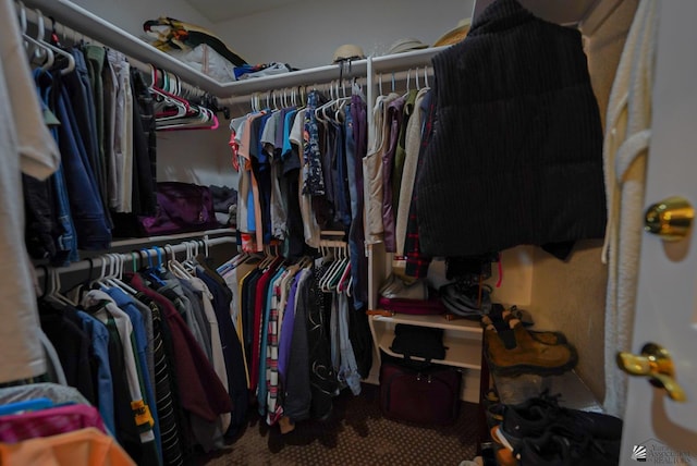 spacious closet with carpet flooring