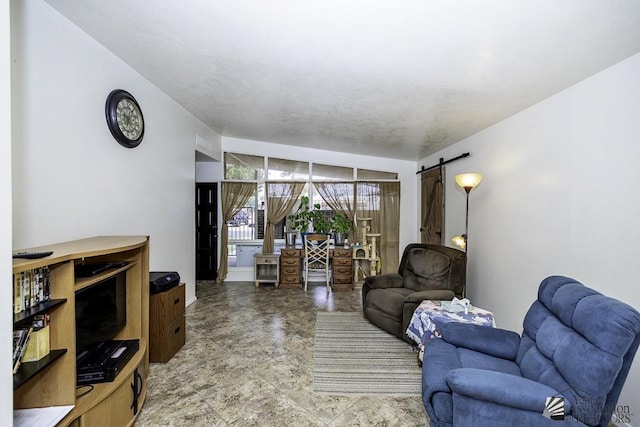 living room with a barn door