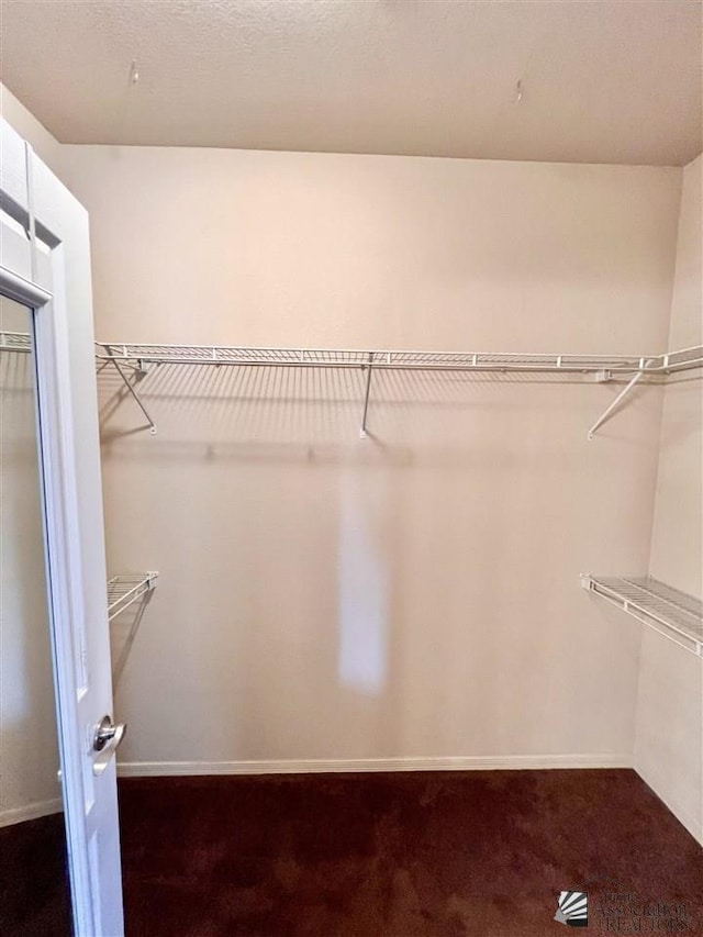 view of walk in closet