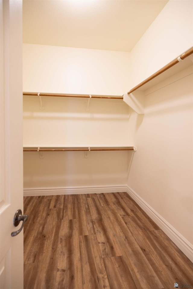 walk in closet with dark hardwood / wood-style flooring