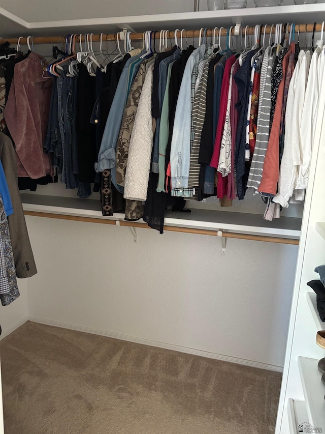 spacious closet with carpet