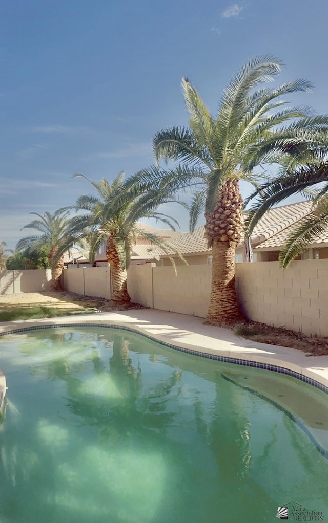 view of swimming pool