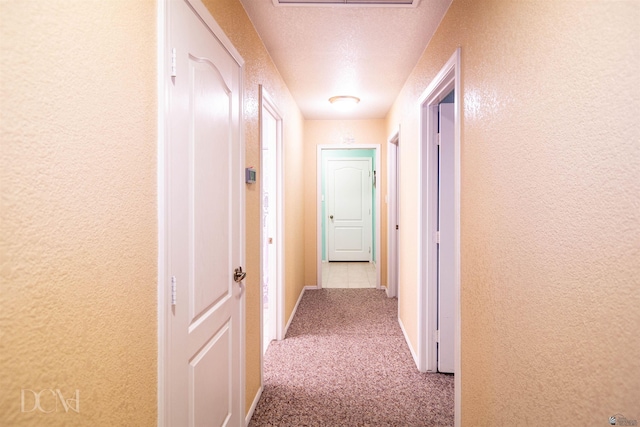 corridor with light colored carpet