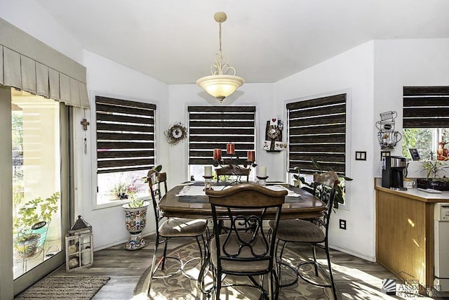 dining area with hardwood / wood-style floors