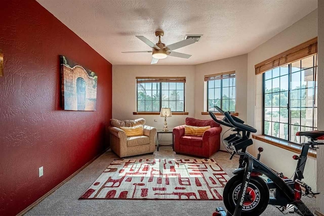 workout room featuring plenty of natural light, carpet floors, and a textured ceiling