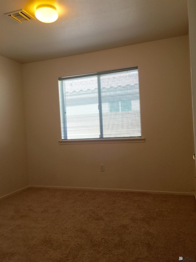 spare room with carpet flooring