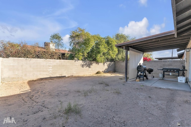 view of yard featuring a patio area