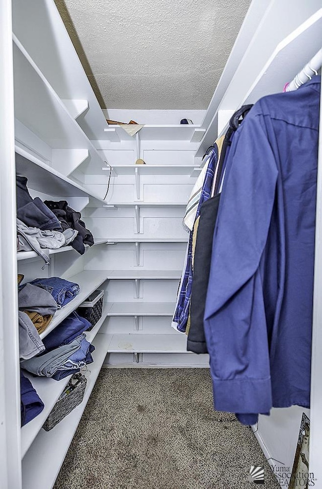 walk in closet with carpet flooring