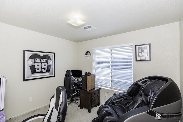 office with light colored carpet