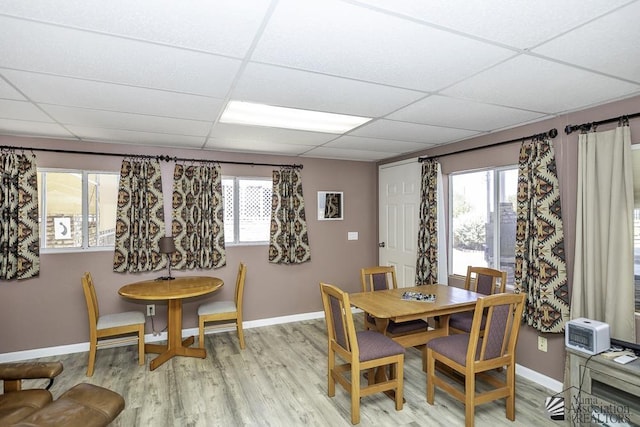 dining space featuring a healthy amount of sunlight, a drop ceiling, and light wood-type flooring