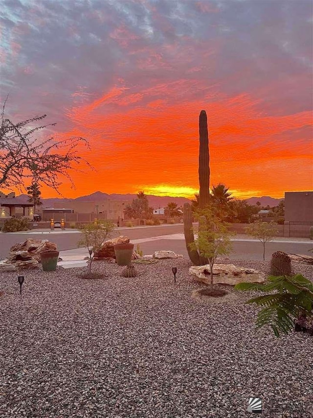 view of yard at dusk