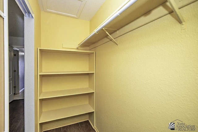 walk in closet featuring hardwood / wood-style floors