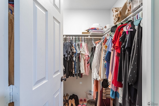 view of spacious closet