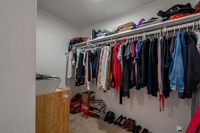 walk in closet featuring carpet flooring