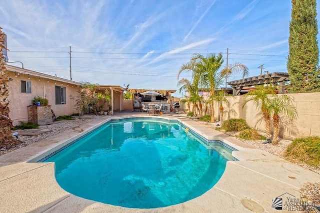 view of swimming pool with a patio area and a pergola