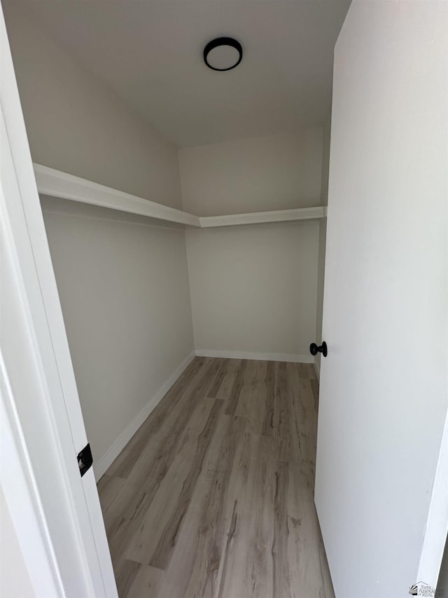 spacious closet featuring wood finished floors