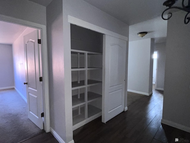 corridor featuring dark hardwood / wood-style flooring