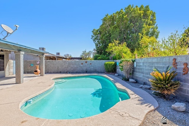 view of pool with a fenced in pool, a fenced backyard, and a patio